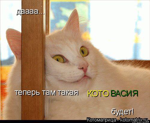даааа... теперь там такая КОТО ВАСИЯ будет!... Котоматрица: даааа... теперь там такая КОТО ВАСИЯ будет!