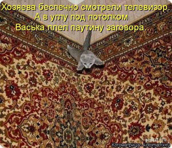 Хозяева беспечно смотрели телевизор. А в углу под потолком Васька плел паутину заговора...... Котоматрица: Хозяева беспечно смотрели телевизор. А в углу под потолком Васька плел паутину заговора...