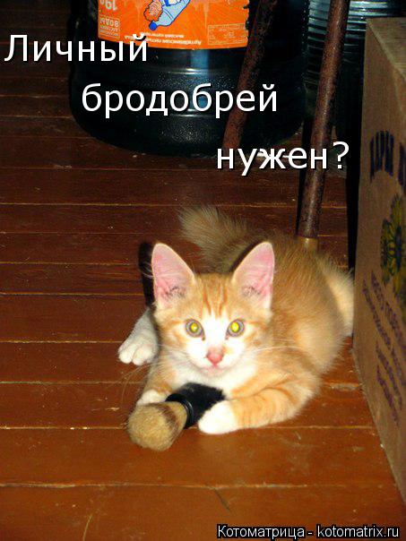 Личный бродобрей нужен?... Котоматрица: Личный бродобрей нужен?