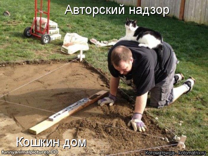 Авторский надзор Кошкин дом... Котоматрица: Авторский надзор Кошкин дом