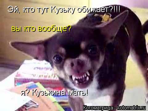 Эй, кто тут Кузьку обижает?!!! вы кто вообще? я? Кузькина мать!... Котоматрица: Эй, кто тут Кузьку обижает?!!! вы кто вообще? я? Кузькина мать!
