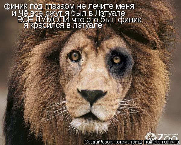 финик под глазаом не лечите меня и Чё все ржут я был в Лэтуале ВСЕ ДУМОЛИ что это был финик я красилс... Котоматрица: финик под глазаом не лечите меня и Чё все ржут я был в Лэтуале ВСЕ ДУМОЛИ что это был финик я красился в лэтуале