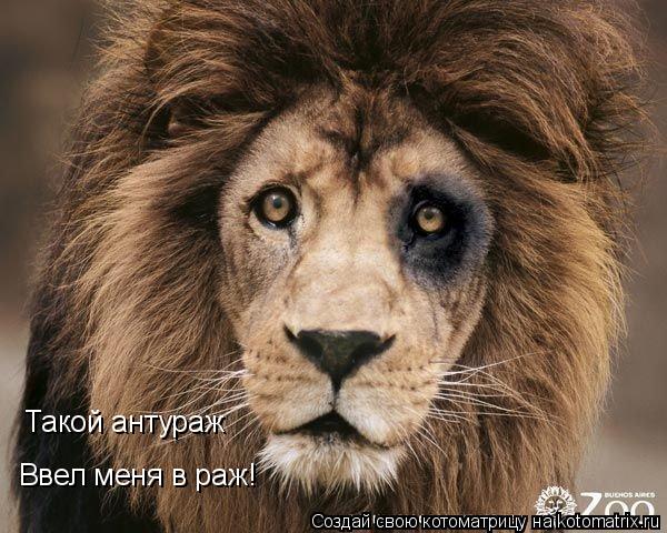 Такой антураж Ввел меня в раж!... Котоматрица: Такой антураж Ввел меня в раж!
