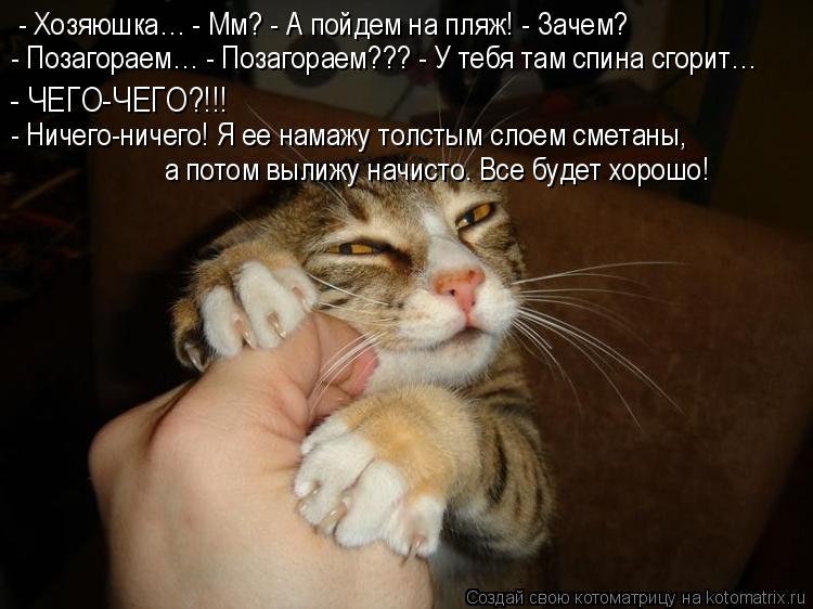 - Хозяюшка… - Мм? - А пойдем на пляж! - Зачем? - Позагораем… - Позагораем??? - У тебя там спина сгори... Котоматрица: - Хозяюшка… - Мм? - А пойдем на пляж! - Зачем? - Позагораем… - Позагораем??? - У тебя там спина сгорит… - ЧЕГО-ЧЕГО?!!! - Ничего-ничего! Я ее намажу т