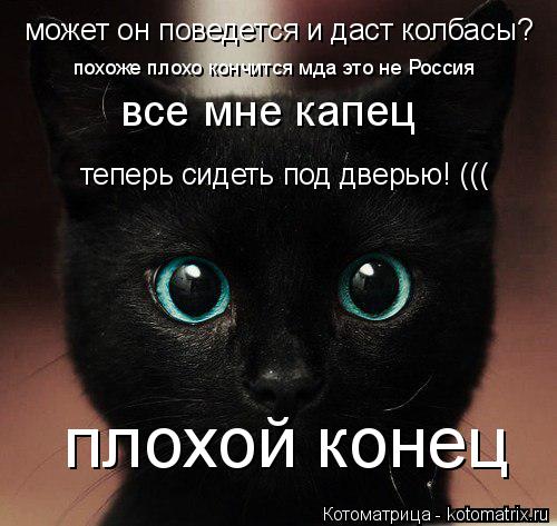 может он поведется и даст колбасы? похоже плохо кончится мда это не Россия все мне капец теперь сидет... Котоматрица: может он поведется и даст колбасы? похоже плохо кончится мда это не Россия все мне капец теперь сидеть под дверью! ((( плохой конец