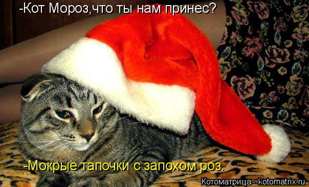 -Кот Мороз,что ты нам принес? -Мокрые тапочки с запохом роз.... Котоматрица: -Кот Мороз,что ты нам принес? -Мокрые тапочки с запохом роз.