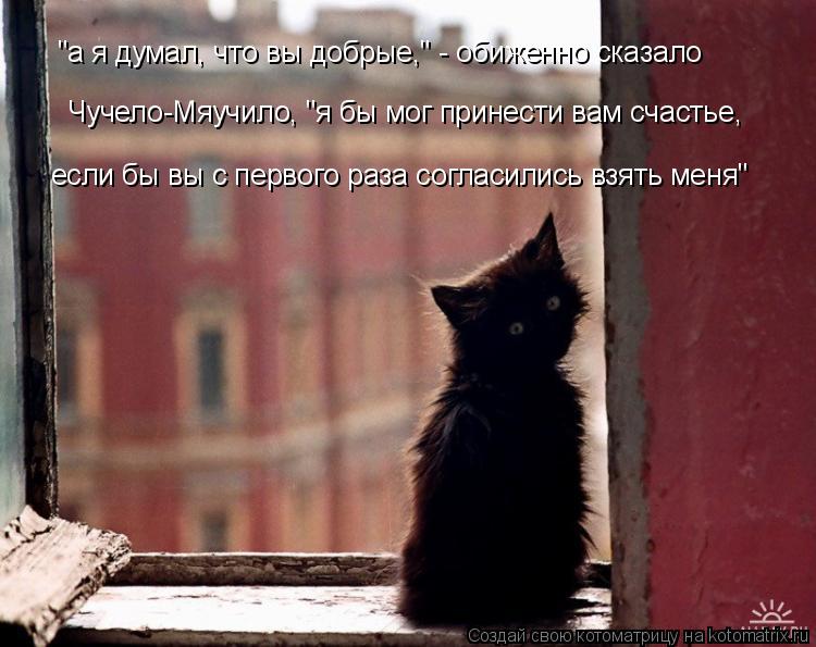 "а я думал, что вы добрые," - обиженно сказало Чучело-Мяучило, "я бы мог принести вам счастье, если б... Котоматрица: "а я думал, что вы добрые," - обиженно сказало Чучело-Мяучило, "я бы мог принести вам счастье, если бы вы с первого раза согласились взять меня"