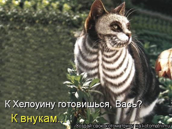 К Хелоуину готовишься, Вась? К внукам...... Котоматрица: К Хелоуину готовишься, Вась? К внукам...
