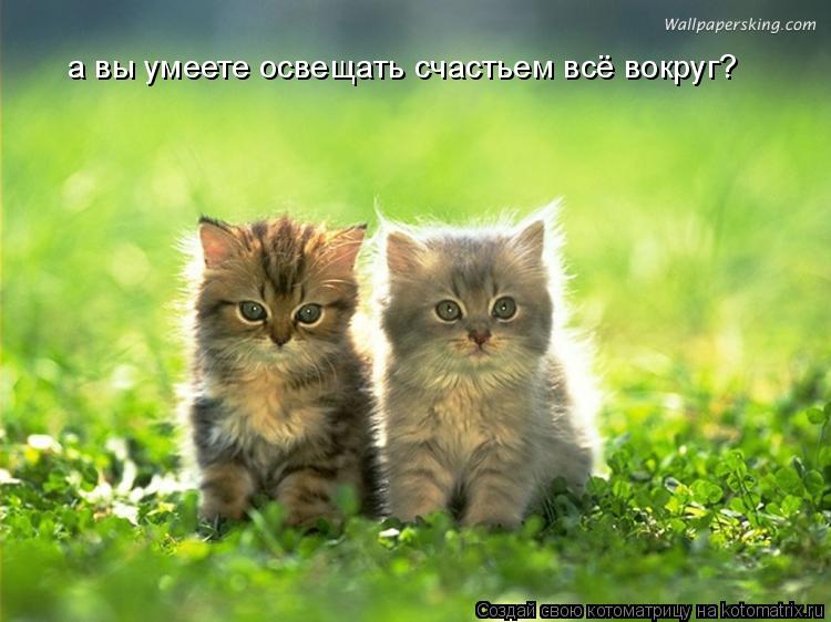 а вы умеете освещать счастьем всё вокруг?... Котоматрица: а вы умеете освещать счастьем всё вокруг?