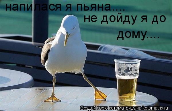напилася я пьяна.... не дойду я до дому....... Котоматрица: напилася я пьяна.... не дойду я до дому....