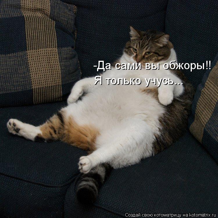 -Да сами вы обжоры!! Я только учусь...... Котоматрица: -Да сами вы обжоры!! Я только учусь...