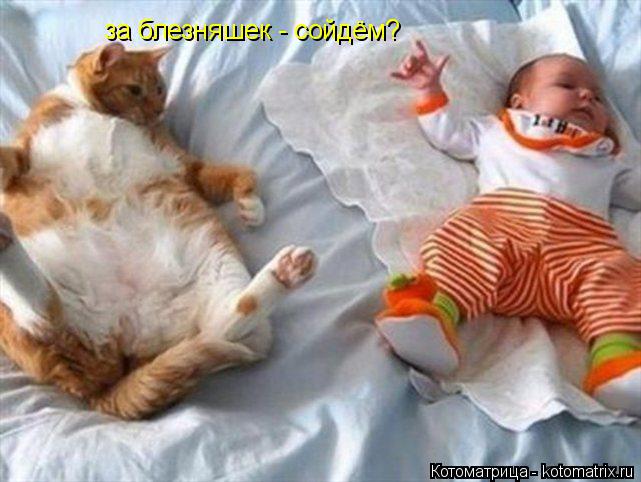 за блезняшек - сойдём?... Котоматрица: за блезняшек - сойдём?