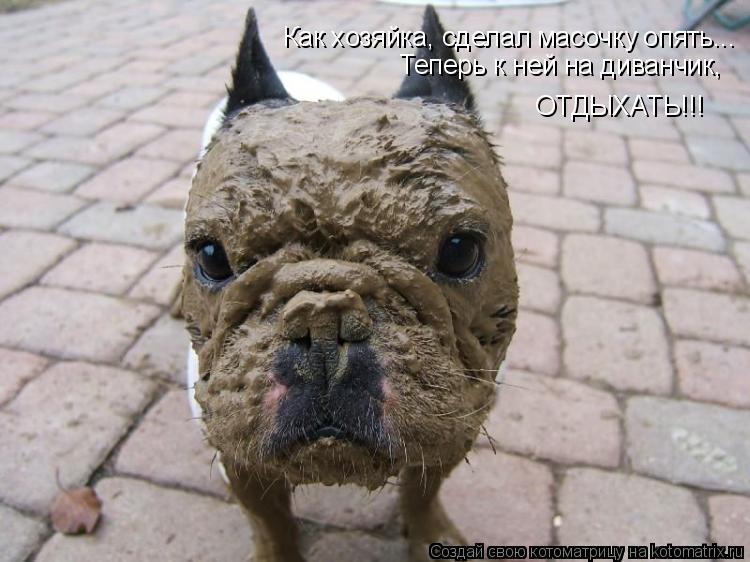 ОТДЫХАТЬ!!! Как хозяйка, сделал масочку опять... Теперь к ней на диванчик,... Котоматрица: ОТДЫХАТЬ!!! Как хозяйка, сделал масочку опять... Теперь к ней на диванчик,