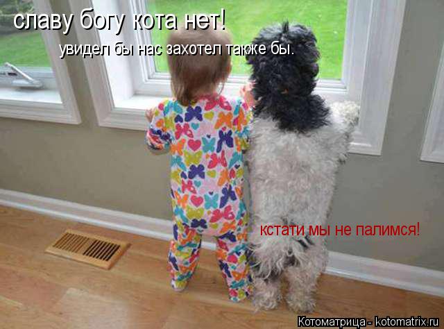 славу богу кота нет! увидел бы нас захотел также бы. кстати мы не палимся!... Котоматрица: славу богу кота нет! увидел бы нас захотел также бы. кстати мы не палимся!