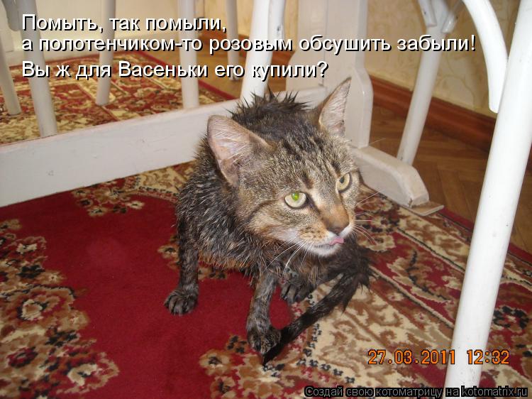 Помыть, так помыли, а полотенчиком-то розовым обсушить забыли! Вы ж для Васеньки его купили?... Котоматрица: Помыть, так помыли, а полотенчиком-то розовым обсушить забыли! Вы ж для Васеньки его купили?