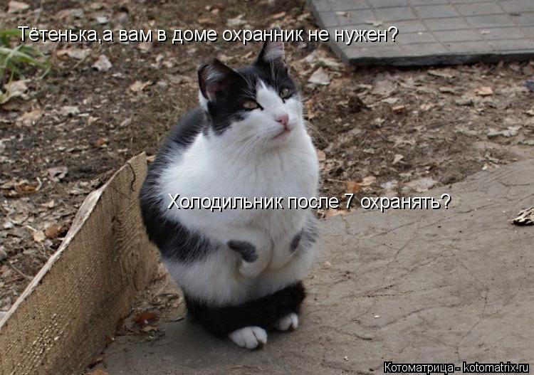 Тётенька,а вам в доме охранник не нужен? Холодильник после 7 охранять?... Котоматрица: Тётенька,а вам в доме охранник не нужен? Холодильник после 7 охранять?