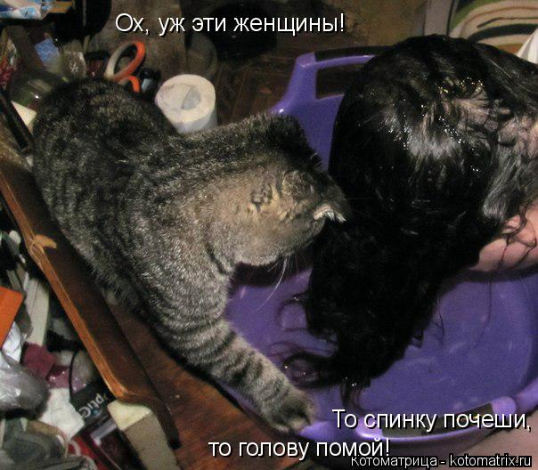 Ох, уж эти женщины! то голову помой! То спинку почеши,... Котоматрица: Ох, уж эти женщины! то голову помой! То спинку почеши,