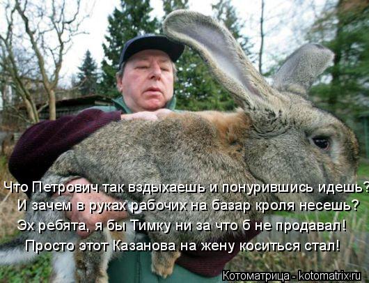 И зачем в руках рабочих на базар кроля несешь? Эх ребята, я бы Тимку ни за что б не продавал! Просто ... Котоматрица: И зачем в руках рабочих на базар кроля несешь? Эх ребята, я бы Тимку ни за что б не продавал! Просто этот Казанова на жену коситься стал! Что П