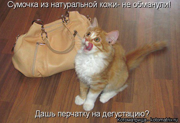 Сумочка из натуральной кожи- не обманули! Дашь перчатку на дегустацию?... Котоматрица: Сумочка из натуральной кожи- не обманули! Дашь перчатку на дегустацию?