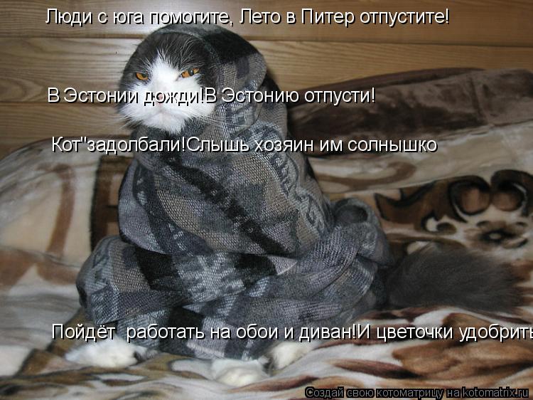 Люди с юга помогите, Лето в Питер отпустите! В Эстонии дожди!В Эстонию отпусти! Кот"задолбали!Слышь х... Котоматрица: Люди с юга помогите, Лето в Питер отпустите! В Эстонии дожди!В Эстонию отпусти! Кот"задолбали!Слышь хозяин им солнышко Пойдёт работать на об