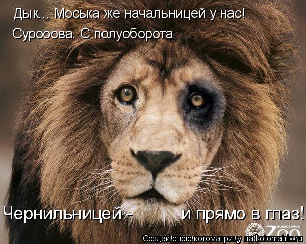 Дык... Моська же начальницей у нас! Сурооова. С полуоборота Чернильницей - и прямо в глаз!... Котоматрица: Дык... Моська же начальницей у нас! Сурооова. С полуоборота Чернильницей - и прямо в глаз!