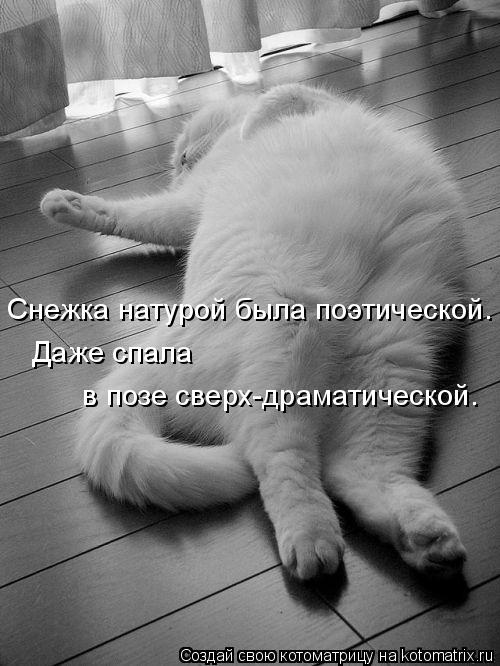 Снежка натурой была поэтической. Даже спала в позе сверх-драматической.... Котоматрица: Снежка натурой была поэтической. Даже спала в позе сверх-драматической.
