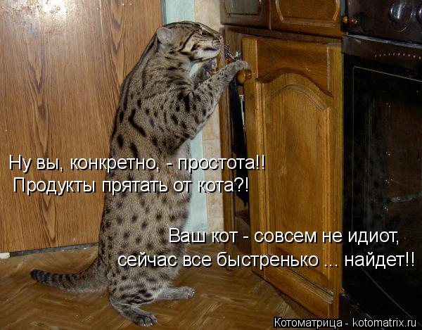 Ну вы, конкретно, - простота!! Продукты прятать от кота?! Ваш кот - совсем не идиот, сейчас все быстр... Котоматрица: Ну вы, конкретно, - простота!! Продукты прятать от кота?! Ваш кот - совсем не идиот, сейчас все быстренько ... найдет!!