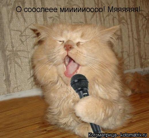 О сооолеее миииииоооо! Мяяяяяя!... Котоматрица: О сооолеее миииииоооо! Мяяяяяя!