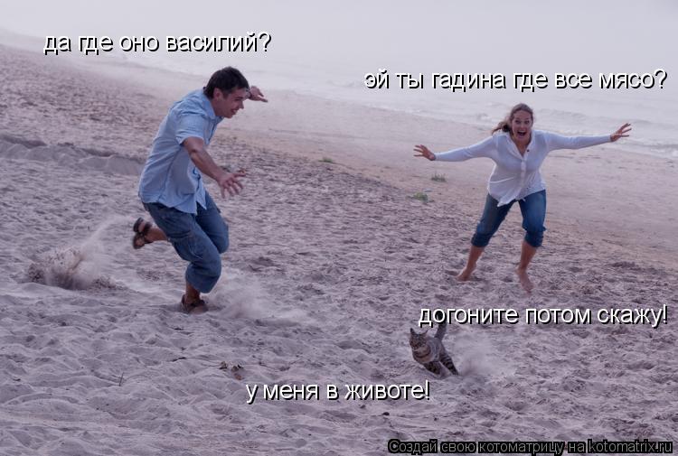 эй ты гадина где все мясо? да где оно василий? догоните потом скажу! у меня в животе!... Котоматрица: эй ты гадина где все мясо? да где оно василий? догоните потом скажу! у меня в животе!