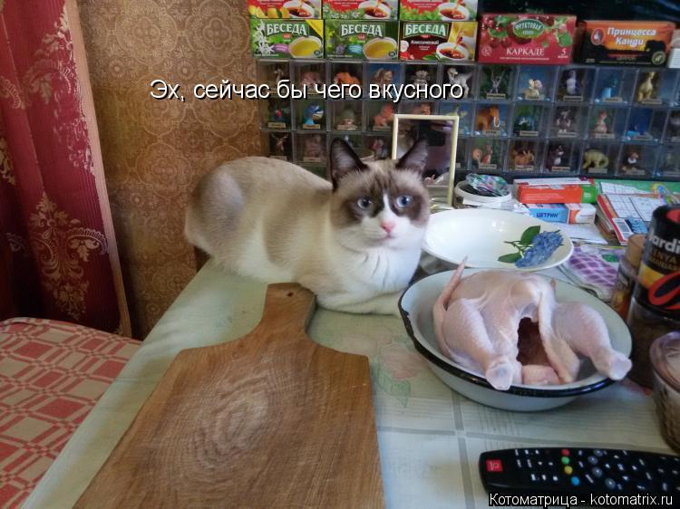 Эх, сейчас бы чего вкусного... Котоматрица: Эх, сейчас бы чего вкусного