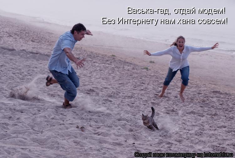 Васька-гад, отдай модем! Без Интернету нам хана совсем!... Котоматрица: Васька-гад, отдай модем! Без Интернету нам хана совсем!