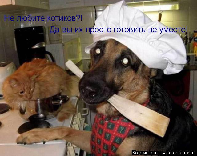 Не любите котиков?! Да вы их просто готовить не умеете!... Котоматрица: Не любите котиков?! Да вы их просто готовить не умеете!