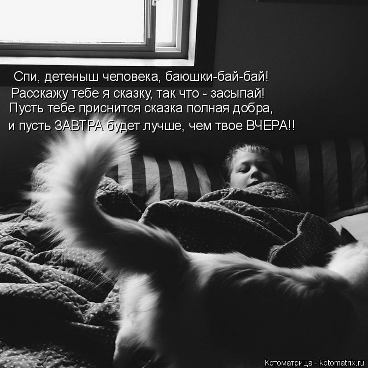 Спи, детеныш человека, баюшки-бай-бай! Расскажу тебе я сказку, так что - засыпай! Пусть тебе приснитс... Котоматрица: Спи, детеныш человека, баюшки-бай-бай! Расскажу тебе я сказку, так что - засыпай! Пусть тебе приснится сказка полная добра, и пусть ЗАВТРА буд