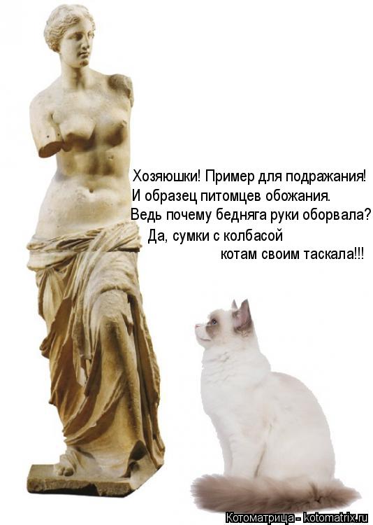 Хозяюшки! Пример для подражания! И образец питомцев обожания. Ведь почему бедняга руки оборвала? Да, ... Котоматрица: Хозяюшки! Пример для подражания! И образец питомцев обожания. Ведь почему бедняга руки оборвала? Да, сумки с колбасой котам своим таскала!!!