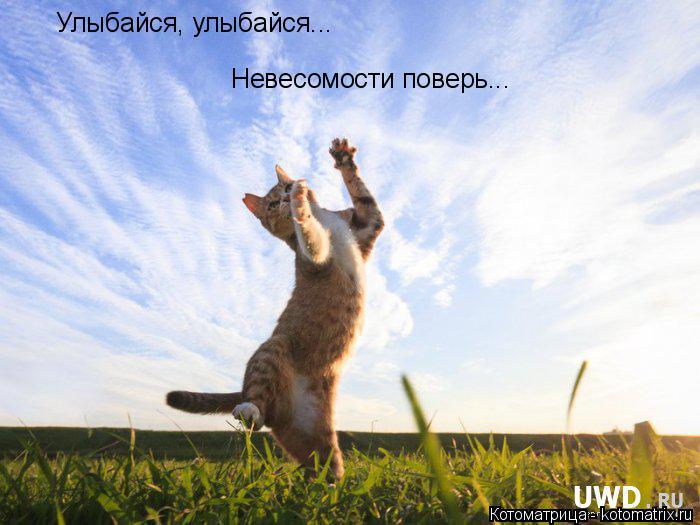 Улыбайся, улыбайся... Невесомости поверь...... Котоматрица: Улыбайся, улыбайся... Невесомости поверь...