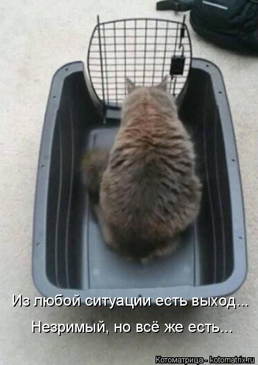 Из любой ситуации есть выход... Незримый, но всё же есть...... Котоматрица: Из любой ситуации есть выход... Незримый, но всё же есть...
