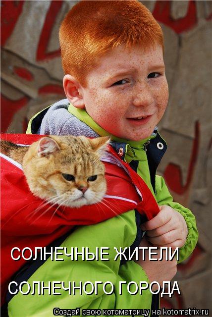 Котоматрица: СОЛНЕЧНЫЕ ЖИТЕЛИ СОЛНЕЧНОГО ГОРОДА