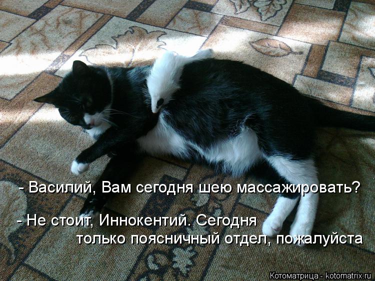 - Василий, Вам сегодня шею массажировать? только поясничный отдел, пожалуйста - Не стоит, Иннокентий... Котоматрица: - Василий, Вам сегодня шею массажировать? только поясничный отдел, пожалуйста - Не стоит, Иннокентий. Сегодня