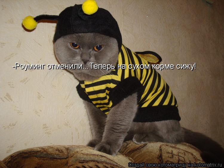-Роуминг отменили...Теперь на сухом корме сижу!... Котоматрица: -Роуминг отменили...Теперь на сухом корме сижу!