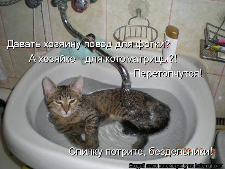 Давать хозяину повод для фотки? А хозяйке - для котоматрицы?! Перетопчутся! Спинку потрите, бездельни... Котоматрица: Давать хозяину повод для фотки? А хозяйке - для котоматрицы?! Перетопчутся! Спинку потрите, бездельники!