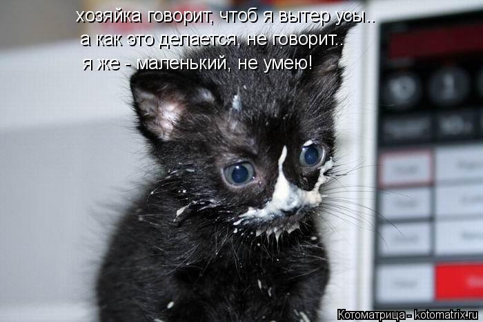 хозяйка говорит, чтоб я вытер усы.. а как это делается, не говорит.. я же - маленький, не умею!... Котоматрица: хозяйка говорит, чтоб я вытер усы.. а как это делается, не говорит.. я же - маленький, не умею!