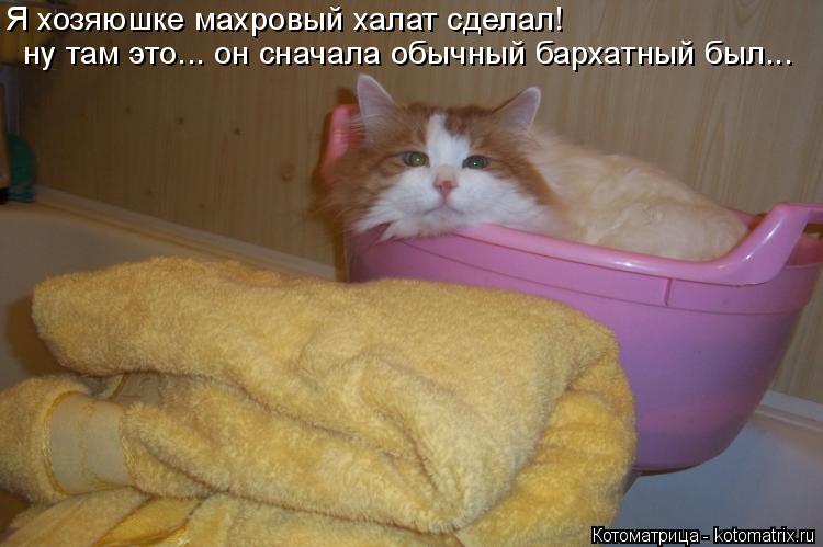 Я хозяюшке махровый халат сделал! ну там это... он сначала обычный бархатный был...... Котоматрица: Я хозяюшке махровый халат сделал! ну там это... он сначала обычный бархатный был...
