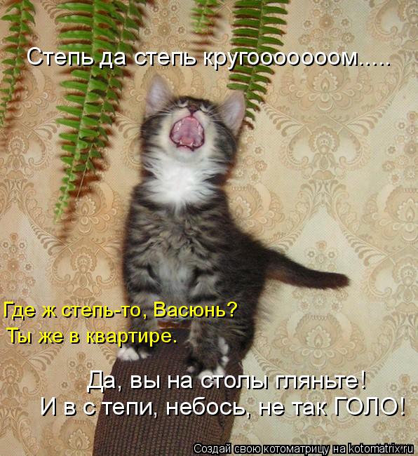 Степь да степь кругооооооом..... Ты же в квартире. Где ж степь-то, Васюнь? И в с тепи, небось, не та... Котоматрица: Степь да степь кругооооооом..... Ты же в квартире. Где ж степь-то, Васюнь? И в с тепи, небось, не так ГОЛО! Да, вы на столы гляньте!