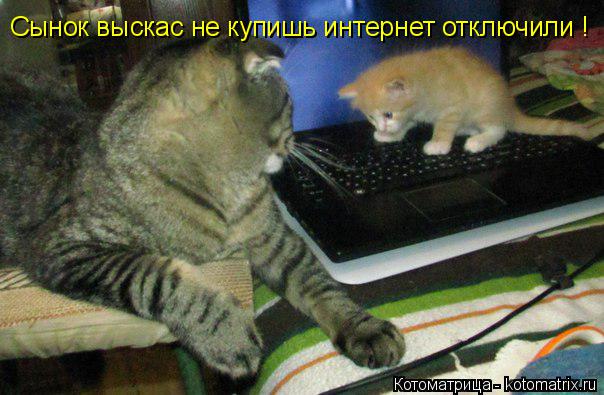 Сынок выскас не купишь интернет отключили !... Котоматрица: Сынок выскас не купишь интернет отключили !