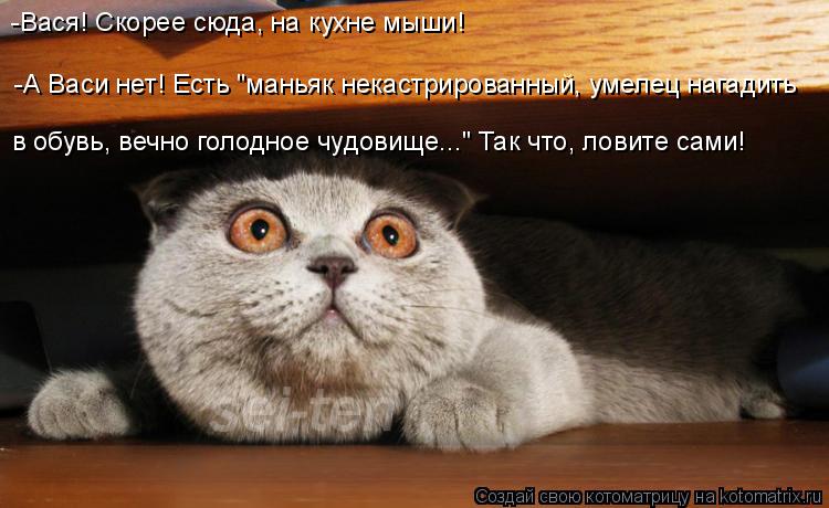 -А Васи нет! Есть "маньяк некастрированный, умелец нагадить в обувь, вечно голодное чудовище..." Так... Котоматрица: -А Васи нет! Есть "маньяк некастрированный, умелец нагадить в обувь, вечно голодное чудовище..." Так что, ловите сами! -Вася! Скорее сюда, на ку