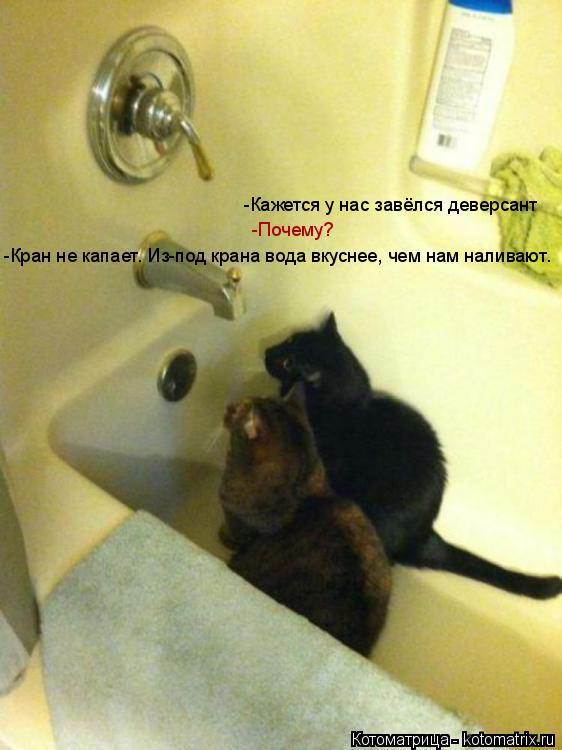 -Кажется у нас завёлся деверсант -Кажется у нас завёлся деверсант -Почему? -Кран не капает. Из-под кр... Котоматрица: -Кажется у нас завёлся деверсант -Кажется у нас завёлся деверсант -Почему? -Кран не капает. Из-под крана вода вкуснее, чем нам наливают.