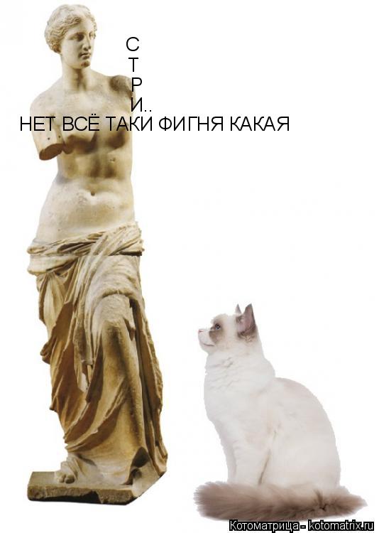 С Т Р И.. НЕТ ВСЁ ТАКИ ФИГНЯ КАКАЯ... Котоматрица: С Т Р И.. НЕТ ВСЁ ТАКИ ФИГНЯ КАКАЯ