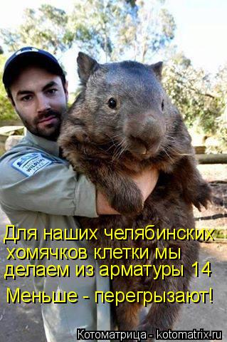Для наших челябинских хомячков клетки мы делаем из арматуры 14 Меньше - перегрызают!... Котоматрица: Для наших челябинских хомячков клетки мы делаем из арматуры 14 Меньше - перегрызают!