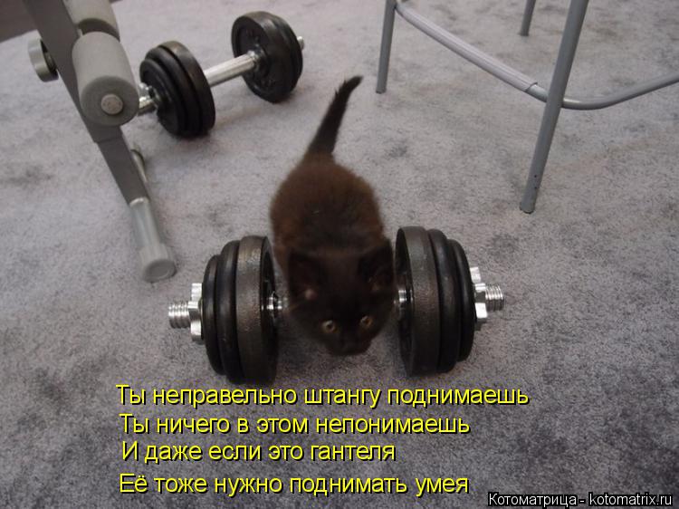 Ты неправельно штангу поднимаешь Ты ничего в этом непонимаешь И даже если это гантеля Её тоже нужно п... Котоматрица: Ты неправельно штангу поднимаешь Ты ничего в этом непонимаешь И даже если это гантеля Её тоже нужно поднимать умея