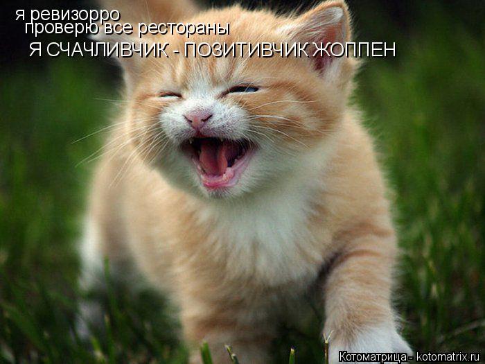 я ревизорро проверю все рестораны Я СЧАЧЛИВЧИК - ПОЗИТИВЧИК ЖОППЕН... Котоматрица: я ревизорро проверю все рестораны Я СЧАЧЛИВЧИК - ПОЗИТИВЧИК ЖОППЕН